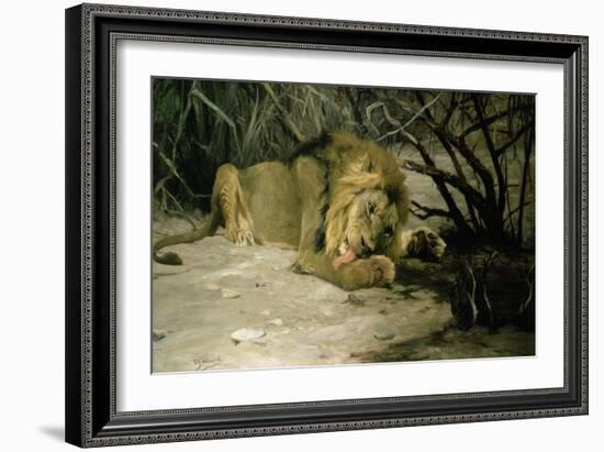 Lion Reclining in a Landscape-Wilhelm Kuhnert-Framed Giclee Print