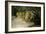 Lion Reclining in a Landscape-Wilhelm Kuhnert-Framed Giclee Print