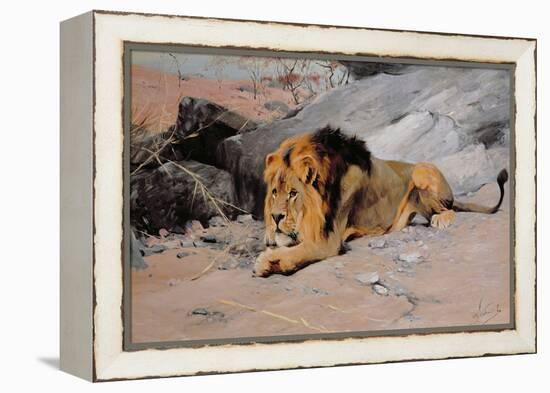 Lion Reclining in a Rocky Landscape-Wilhelm Kuhnert-Framed Premier Image Canvas