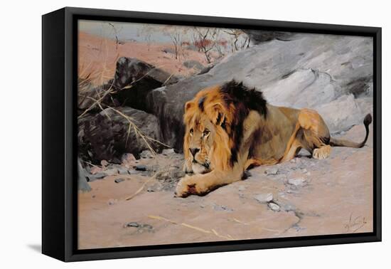 Lion Reclining in a Rocky Landscape-Wilhelm Kuhnert-Framed Premier Image Canvas