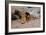 Lion Reclining in a Rocky Landscape-Wilhelm Kuhnert-Framed Giclee Print