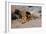 Lion Reclining in a Rocky Landscape-Wilhelm Kuhnert-Framed Giclee Print