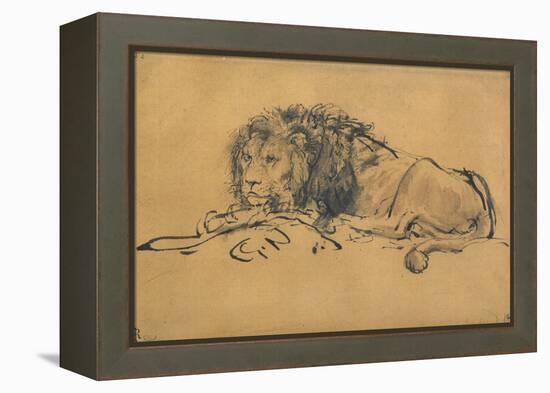 Lion Resting, Turned to the Left, C1650-Rembrandt van Rijn-Framed Premier Image Canvas