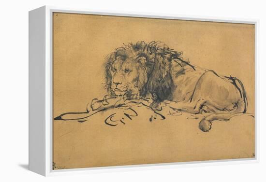 Lion Resting, Turned to the Left, C1650-Rembrandt van Rijn-Framed Premier Image Canvas