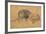 Lion Resting, Turned to the Left, C1650-Rembrandt van Rijn-Framed Giclee Print