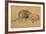 Lion Resting, Turned to the Left, C1650-Rembrandt van Rijn-Framed Giclee Print