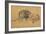 Lion Resting, Turned to the Left, C1650-Rembrandt van Rijn-Framed Giclee Print