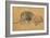 Lion Resting, Turned to the Left, C1650-Rembrandt van Rijn-Framed Giclee Print