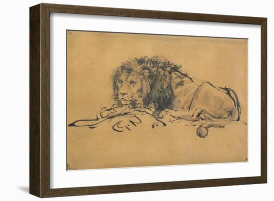 Lion Resting, Turned to the Left, C1650-Rembrandt van Rijn-Framed Giclee Print