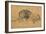 Lion Resting, Turned to the Left, C1650-Rembrandt van Rijn-Framed Giclee Print