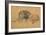 Lion Resting, Turned to the Left, C1650-Rembrandt van Rijn-Framed Giclee Print