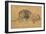 Lion Resting, Turned to the Left, C1650-Rembrandt van Rijn-Framed Giclee Print