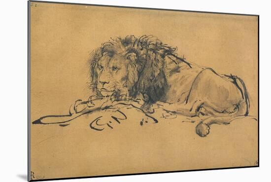 Lion Resting, Turned to the Left, C1650-Rembrandt van Rijn-Mounted Giclee Print