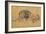 Lion Resting, Turned to the Left, C1650-Rembrandt van Rijn-Framed Giclee Print