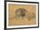 Lion Resting, Turned to the Left, C1650-Rembrandt van Rijn-Framed Giclee Print