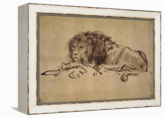 Lion Resting, Turned to the Left-Rembrandt van Rijn-Framed Premier Image Canvas