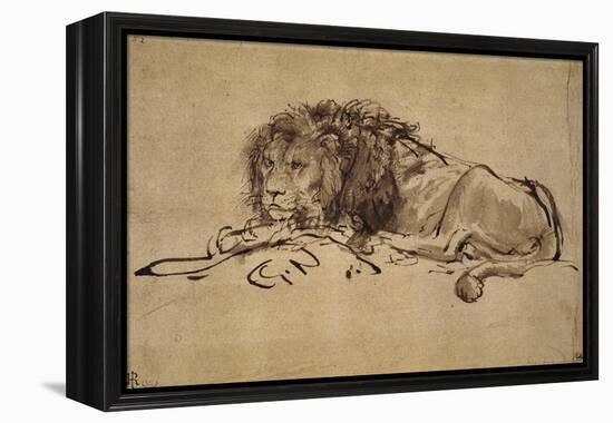 Lion Resting, Turned to the Left-Rembrandt van Rijn-Framed Premier Image Canvas