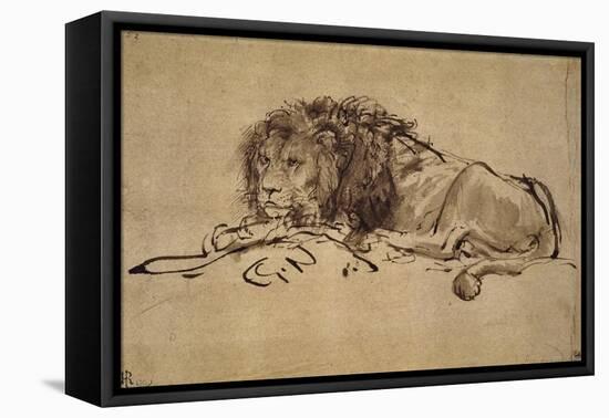 Lion Resting, Turned to the Left-Rembrandt van Rijn-Framed Premier Image Canvas
