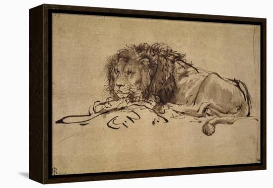 Lion Resting, Turned to the Left-Rembrandt van Rijn-Framed Premier Image Canvas