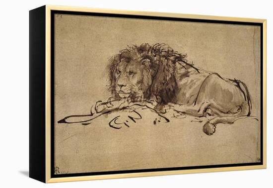 Lion Resting, Turned to the Left-Rembrandt van Rijn-Framed Premier Image Canvas