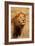 Lion's Intent Stare-Kathy Mansfield-Framed Art Print