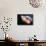 Lion's Mane Jellyfish-Alexander Semenov-Framed Premier Image Canvas displayed on a wall