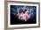 Lion's Mane Jellyfish-Alexander Semenov-Framed Photographic Print