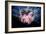 Lion's Mane Jellyfish-Alexander Semenov-Framed Photographic Print