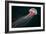 Lion's Mane Jellyfish-Alexander Semenov-Framed Photographic Print