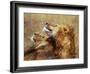 Lion Scratching Neck with Paw-George Lepp-Framed Photographic Print
