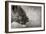 Lion Side View-Donvanstaden-Framed Art Print