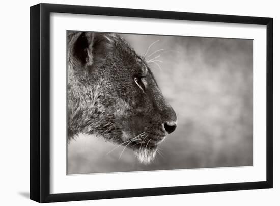 Lion Side View-Donvanstaden-Framed Art Print