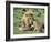 Lion Single Male Playing with Cub-null-Framed Photographic Print
