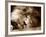 Lion Sleeping at Whipsnade Zoo Asleep One Eye Open, March 1959-null-Framed Photographic Print