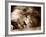 Lion Sleeping at Whipsnade Zoo Asleep One Eye Open, March 1959-null-Framed Photographic Print