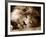 Lion Sleeping at Whipsnade Zoo Asleep One Eye Open, March 1959-null-Framed Photographic Print