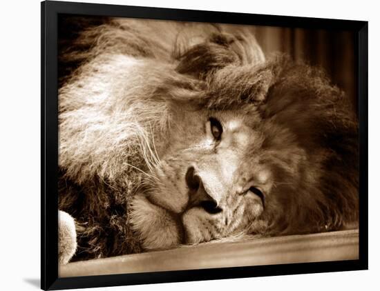 Photographic Print, , large