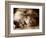 Lion Sleeping at Whipsnade Zoo Asleep One Eye Open, March 1959-null-Framed Photographic Print