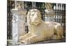 Lion statue at the entrance to the Arsenal, Venice, Veneto, Italy-Russ Bishop-Mounted Premium Photographic Print