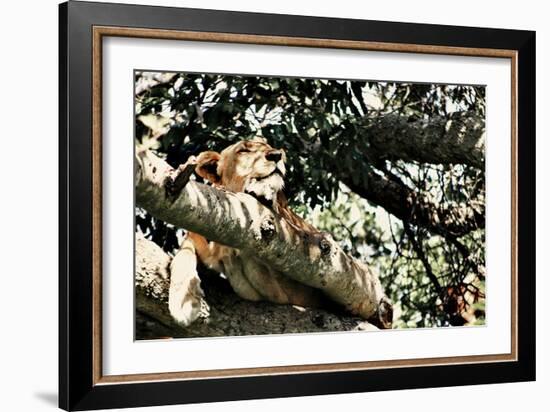 Lion Tree-Susan Bryant-Framed Photographic Print