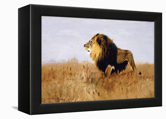 Lion Watching for Prey-Wilhelm Kuhnert-Framed Premier Image Canvas