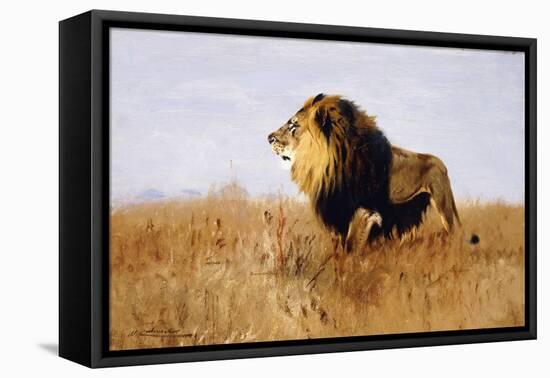 Lion Watching for Prey-Wilhelm Kuhnert-Framed Premier Image Canvas