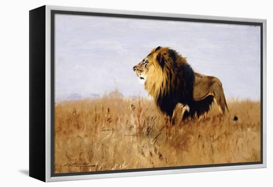 Lion Watching for Prey-Wilhelm Kuhnert-Framed Premier Image Canvas