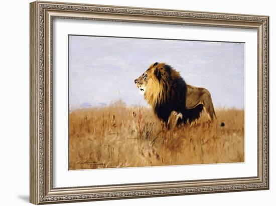 Lion Watching for Prey-Wilhelm Kuhnert-Framed Giclee Print