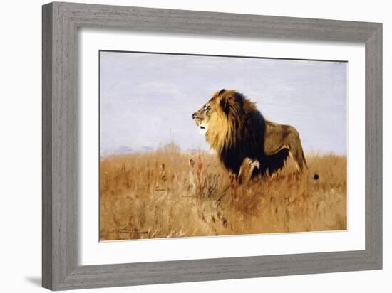 Lion Watching for Prey-Wilhelm Kuhnert-Framed Giclee Print