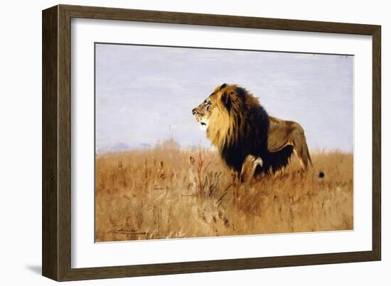 Lion Watching for Prey-Wilhelm Kuhnert-Framed Giclee Print