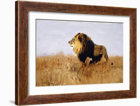 Lion Watching for Prey-Wilhelm Kuhnert-Framed Giclee Print