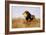 Lion Watching for Prey-Wilhelm Kuhnert-Framed Giclee Print