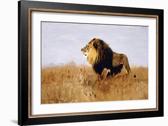 Lion Watching for Prey-Wilhelm Kuhnert-Framed Giclee Print