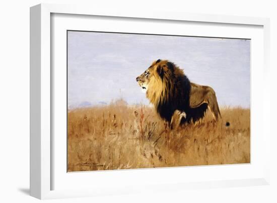 Lion Watching for Prey-Wilhelm Kuhnert-Framed Giclee Print